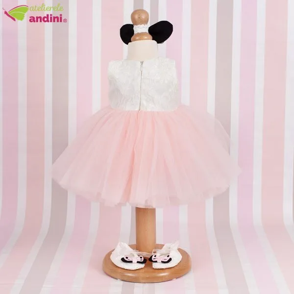 Rochita Botez Shiny Minnie Mouse 33