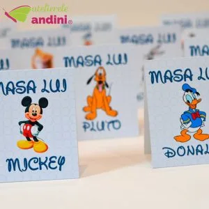 numar masa botez disney3